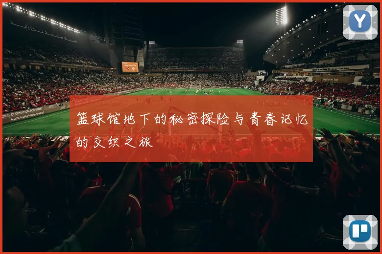 篮球馆地下的秘密探险与青春记忆的交织之旅