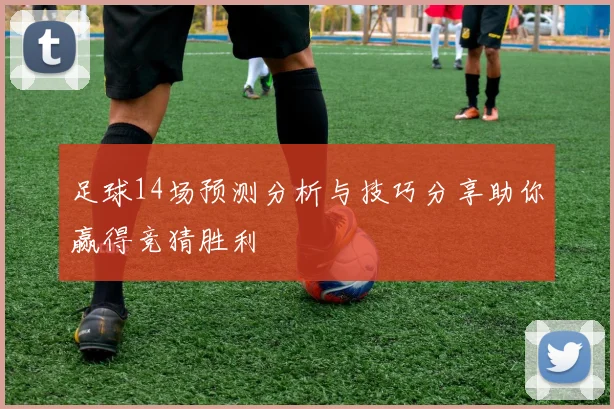 足球14场预测分析与技巧分享助你赢得竞猜胜利
