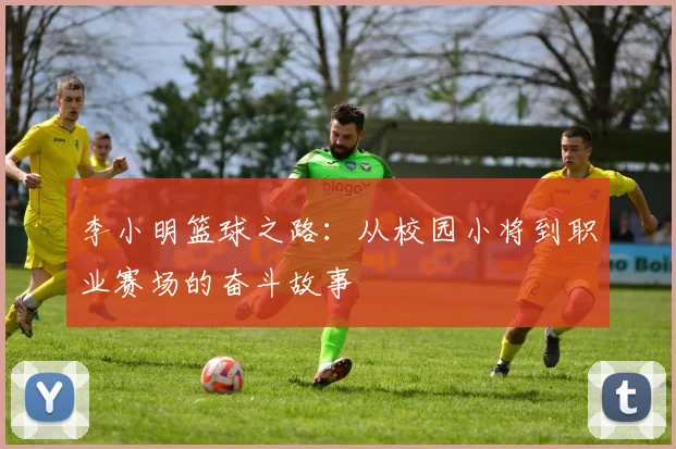 李小明篮球之路：从校园小将到职业赛场的奋斗故事
