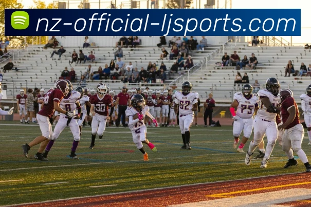 乐竟官网平台生态图